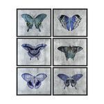 Product Image 1 for Uttermost Vibrant Butterflies Prints S/6 from Uttermost