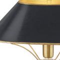 Angle view highlighting gold painted trim on shade edge contrasting with matte black exterior