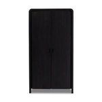 Product Image 1 for Everson Black Reclaimed Cabinet from Four Hands
