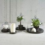 Four trays used as bases under glass domes covering plants, geometric stone, and candle