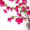 Product Image 4 for Agnes Bougainvillea Stems - 54", Bundle of 2 from Napa Home And Garden