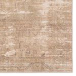 Zoomed detail of Leshni Medallion rug showcasing medallion pattern and soft distressed finish