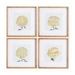 Product Image 1 for Chrysanthemum Prints, Set Of 4 from Napa Home And Garden