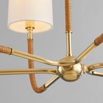 Product Image 2 for Webson 6-Light Chandelier - Aged Brass from Hudson Valley