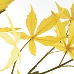 Product Image 3 for Maple Leaf Branches, Set of 2 from Napa Home And Garden