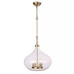 Product Image 2 for Dover Pendant from Regina Andrew Design