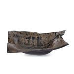 Product Image 1 for Brock Horn Dish from Regina Andrew Design