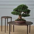Close top view showing the detailed bronze patina rings of a smaller accent table beside a larger one