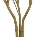 Product Image 7 for Faux Pieris Tree from Four Hands