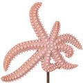 Product Image 2 for Starfish, Set of 2 from Currey & Company