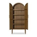 Product Image 36 for Tolle Panel Door Antique Brass Iron Cabinet from Four Hands