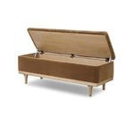 Product Image 8 for Iris Trunk from Four Hands