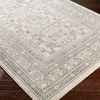 Product Image 1 for Chester Beige / Medium Gray Rug from Surya