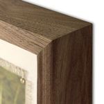 Product Image 3 for Verdants by Shade Degges - Rustic 2.5 Walnut from Four Hands