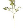 Product Image 1 for Queen Anne's Lace Stems, Set of 4 from SN Warehouse