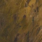 Product Image 4 for Chihuahuan Soil by Katherine Hunsaker from Four Hands