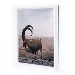 Product Image 1 for Ram By Vitaliy Paykov from Four Hands