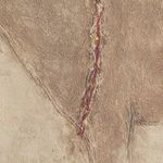 Textured close-up of red stitching detail along the donkey’s neck in the Burro Marron artwork