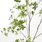 Product Image 2 for Shady Lady Black Olive Branches , Set Of 2 from Napa Home And Garden