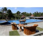 Product Image 1 for Teak Barrel Chair In Euro Teak Oil from Elk Home