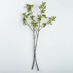 Product Image 2 for Crabapple Branches, Set of 2 from Napa Home And Garden