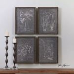 Product Image 1 for Uttermost Root Study Print Art S/4 from Uttermost