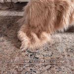 Product Image 3 for Lorraine Oriental Blush / Light Gray Runner Rug from Jaipur 