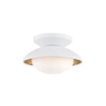 Product Image 1 for Cadence 1 Light Small Semi Flush from Mitzi