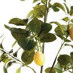 Product Image 3 for Faux Lemon Branches , Set Of 2 from Napa Home And Garden