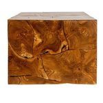 Product Image 7 for Terra Root Teak Coffee Table from Creative Co-Op