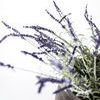 Product Image 7 for Colette French Lavender Bush - 34", Single Stem from Napa Home And Garden