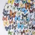 Product Image 2 for Chroma Wall Art from Currey & Company