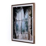 Product Image 8 for Greenhouse Ii By Annie Spratt Framed Pap from Four Hands