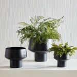 Product Image 3 for Cyrus Matte Black Cachepots, Set of 3 from Napa Home And Garden
