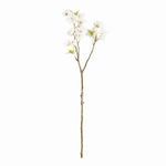 Product Image 1 for Double Cherry Blossom Stems , Set Of 6 from Napa Home And Garden