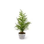 Product Image 1 for Aurora 20" Norfolk Pine Tree in Gray Pot from K&K Interiors