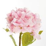 Product Image 3 for Hydrangea Stems , Set Of 6 from Napa Home And Garden