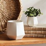 Product Image 5 for Apex Pots, Set Of 2 from Napa Home And Garden