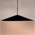Product Image 1 for Lark Pendant from Noir