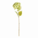 Product Image 1 for Mophead Hydrangea Stems , Set Of 4 from Napa Home And Garden