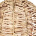 Brightly lit pendant showing detailed texture and natural color variation of coconut shells