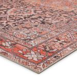 Product Image 5 for Chariot Indoor / Outdoor Medallion Orange / Dark Gray Area Rug from Jaipur 