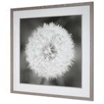 Product Image 2 for Uttermost Dandelion Seedhead Framed Print from Uttermost