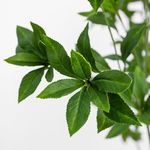 Product Image 6 for Faux Pieris Tree from Four Hands