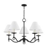 Product Image 1 for Massi Steel 5-Light Chandelier from Troy Lighting