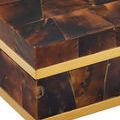 Repetition of close-up on penshell pieces with slight variation in lighting and framing