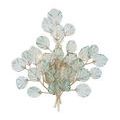 Product Image 1 for Baobab Wall Sconce from Currey & Company