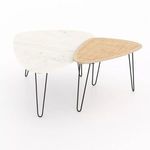 Product Image 3 for Warrington Nesting Coffee Table from Four Hands