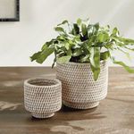 Product Image 5 for Burma Rattan Cachepots, Set Of 2 from Napa Home And Garden