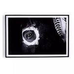 Product Image 1 for War Horse, Close Up from Four Hands